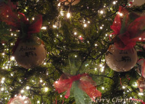 気分は彼氏？アイドルとクリスマスを過ごす方法が見つかる！