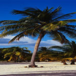 夏の思い出動画に聴きたい定番ソング・夏うた曲