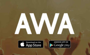 AWAとLINE MUSICの有料会員数は同程度かも:売上が同じ