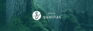 mora qualitas、ハイレゾ対応の音楽ストリーミング配信サービスが無料先行体験開始