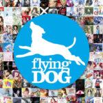 創聖のアクエリオンなど、フライングドッグの人気曲1300曲がストリーミング配信解禁